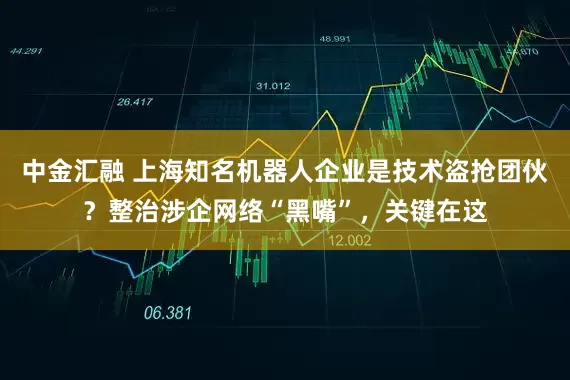 中金汇融 上海知名机器人企业是技术盗抢团伙？整治涉企网络“黑嘴”，关键在这