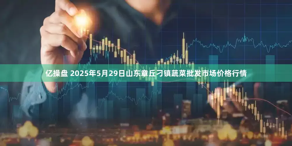 亿操盘 2025年5月29日山东章丘刁镇蔬菜批发市场价格行情
