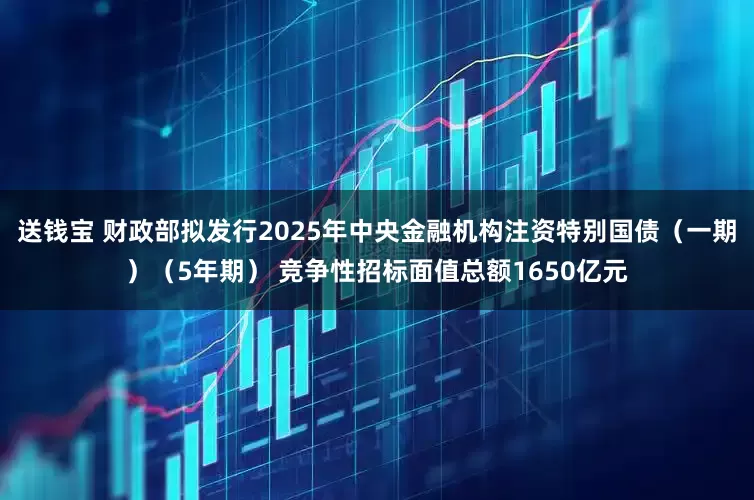 送钱宝 财政部拟发行2025年中央金融机构注资特别国债（一期）（5年期） 竞争性招标面值总额1650亿元