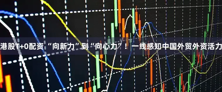 港股T+0配资 “向新力”到“向心力”！一线感知中国外贸外资活力