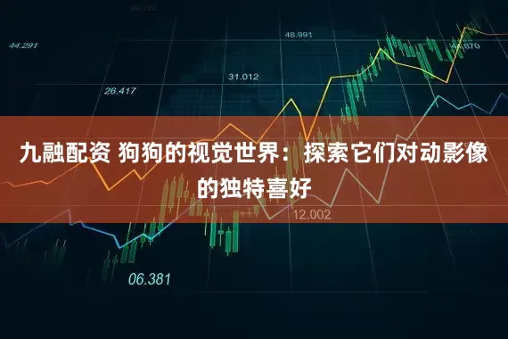 九融配资 狗狗的视觉世界：探索它们对动影像的独特喜好